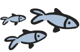 image-class-sardine