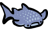 image-class-whale