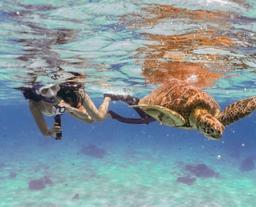 상품-큐레이팅-캐러셀