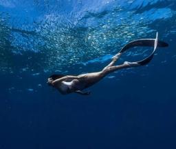 상품-큐레이팅-캐러셀