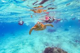 상품-큐레이팅-캐러셀