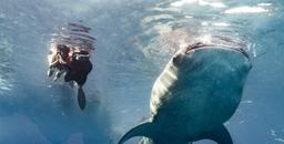 상품-큐레이팅-캐러셀